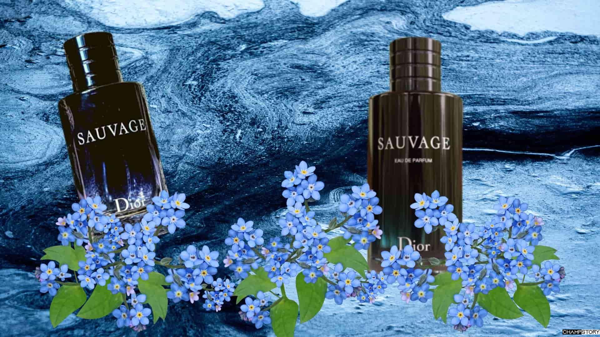 Dior sauvage dossier.co – Detailed Review – News Mashable