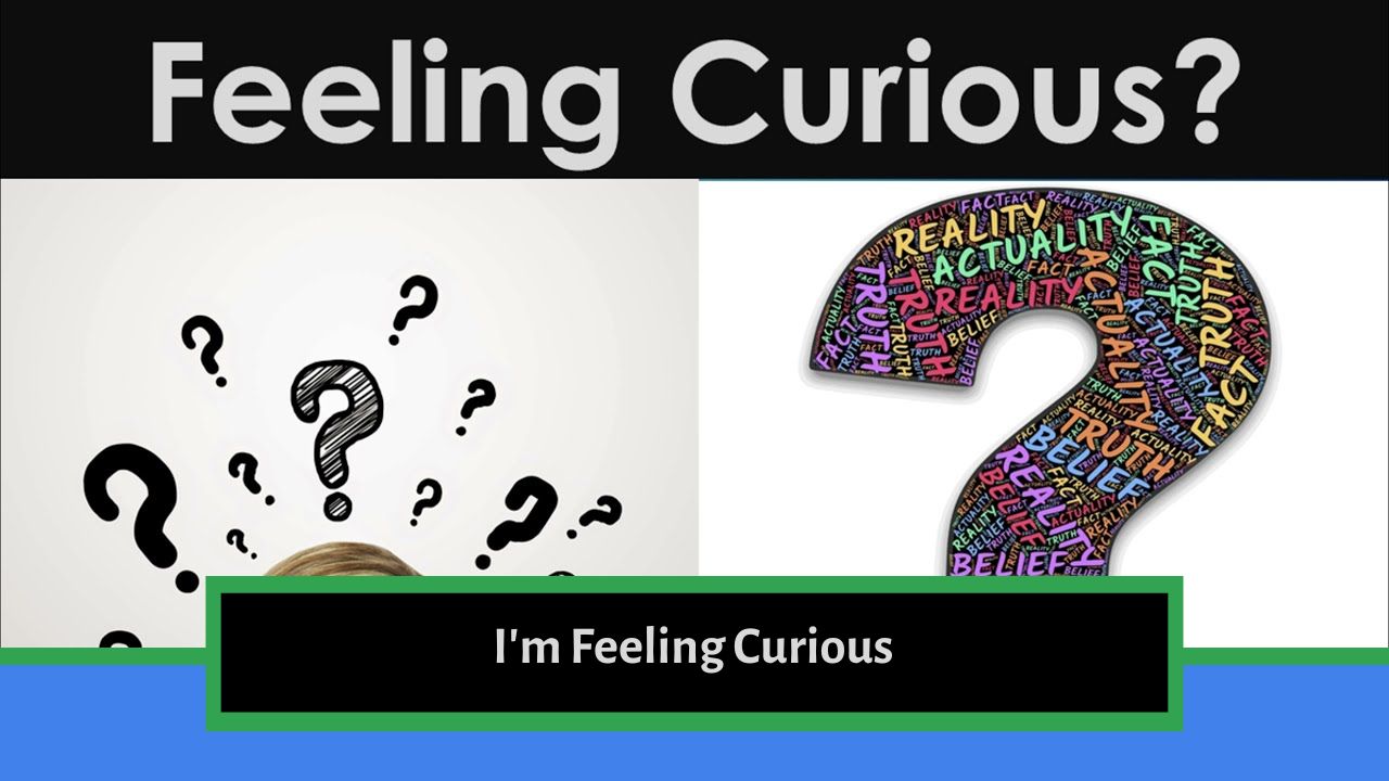 What Happens When You Type in ‘I’m Feeling Curious’