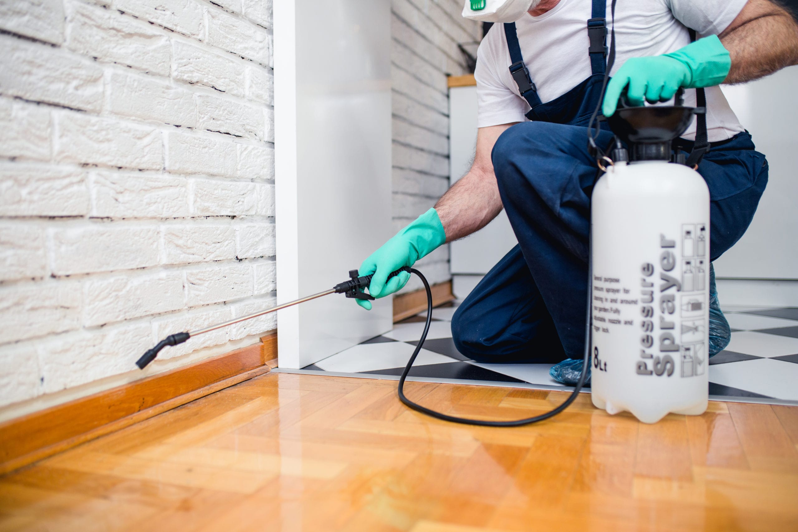 Skill Termite Exterminator  Enhancing Your Business with Top Notch Pest Control Services