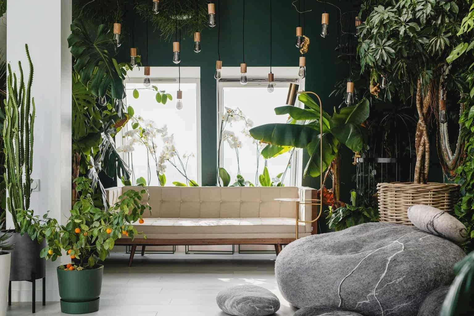 Blending Home and Nature: Why Biophilic Design Matters in Real Estate